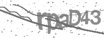 visual captcha